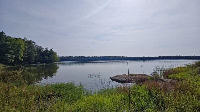 Reservoir Park - Ashburn, VA