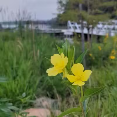 Reservoir Park - Ashburn, VA
