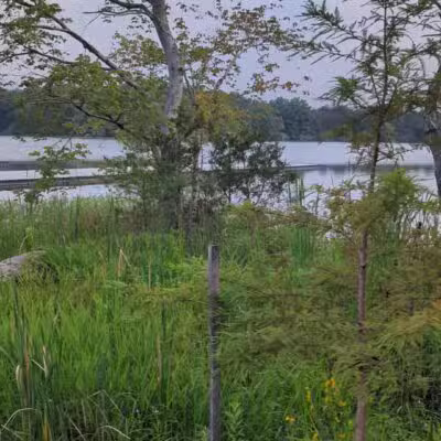 Reservoir Park - Ashburn, VA