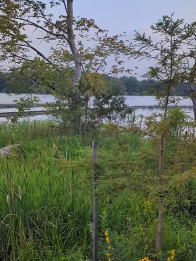 Reservoir Park - Ashburn, VA