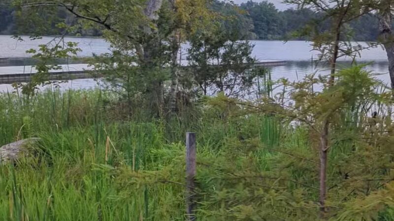 Reservoir Park - Ashburn, VA