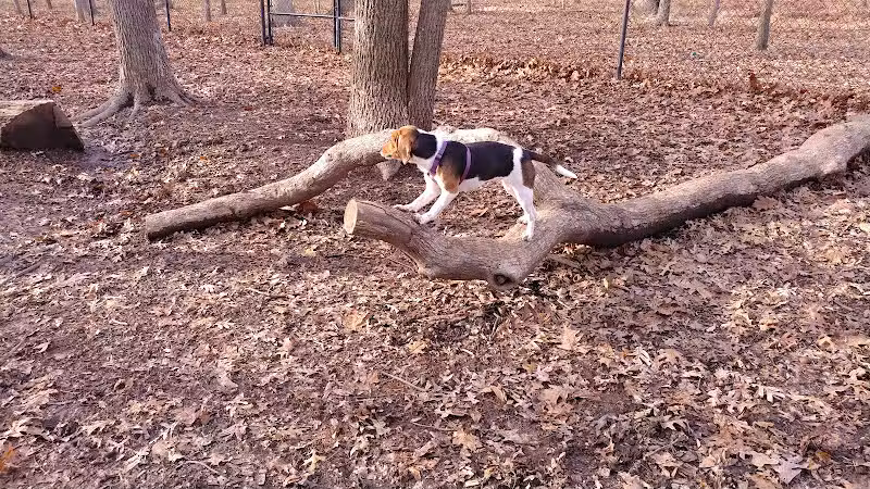 Central Park - One Loudoun - Ashburn, VA