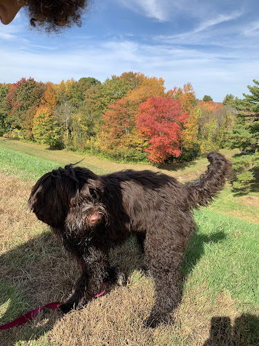 Ashland State Park Boat Launch - Ashland, MA