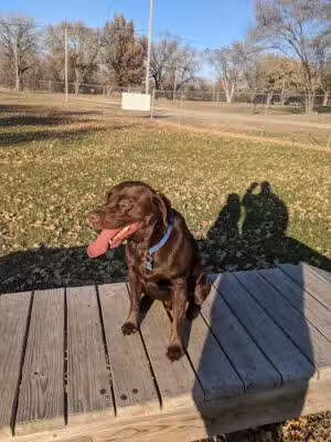 Ashland Dog Park - Ashland, NE