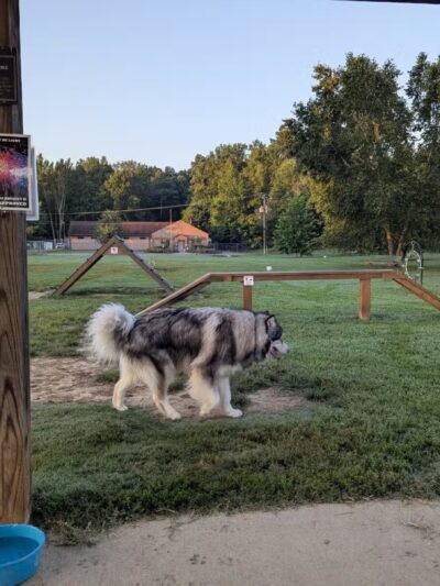 Taylor Park Dog Park - Ashland, VA