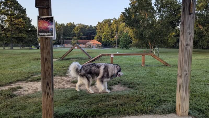 Taylor Park Dog Park - Ashland, VA