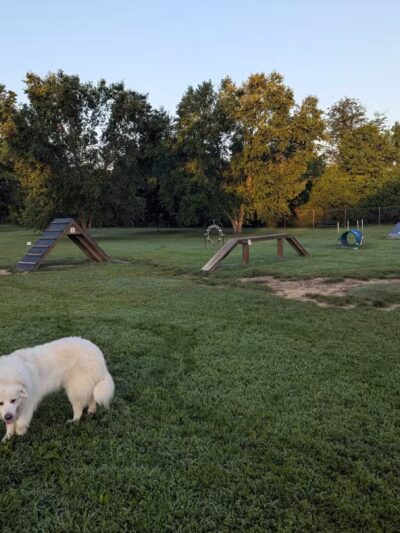 Taylor Park Dog Park - Ashland, VA