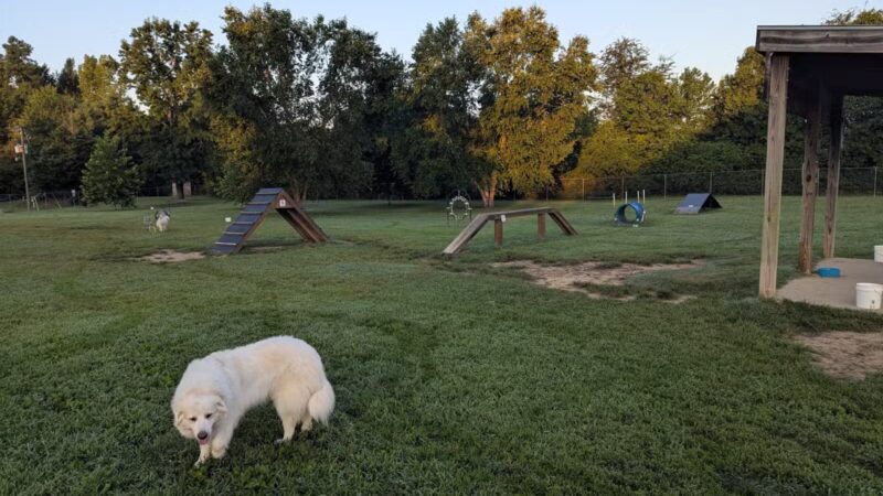 Taylor Park Dog Park - Ashland, VA