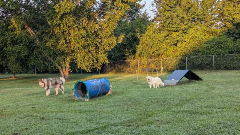 Taylor Park Dog Park - Ashland, VA