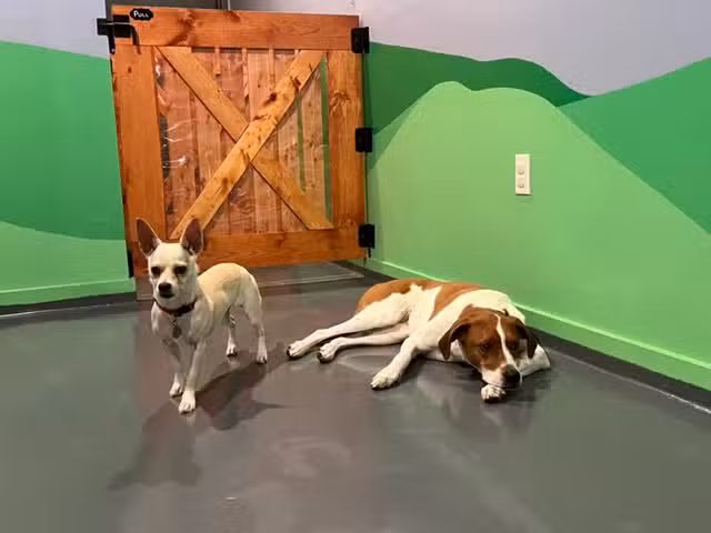 BB's PLAYHOUSE - Astoria, NY