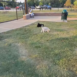 Dog Park at Atascocita Park - Atascocita, TX