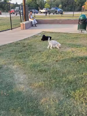 Dog Park at Atascocita Park - Atascocita, TX
