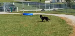 Atchison Fetch & Stretch Dog Park - Atchison, KS