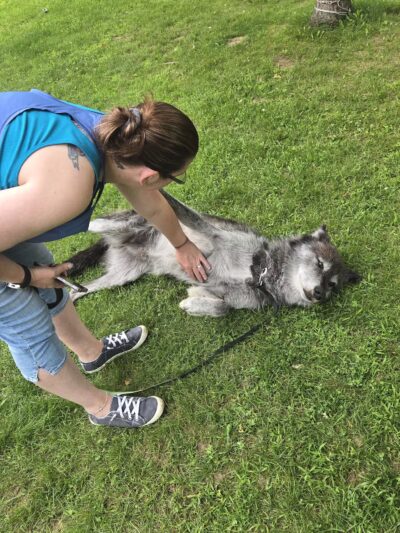 Rustic Retreat Deer Park - Athelstane, WI