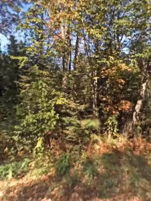 goodmann park - Athelstane, WI