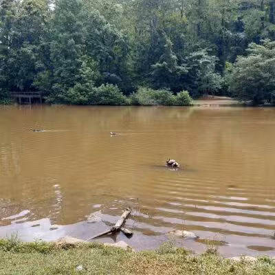 Athens Memorial Dog Park - Athens, GA