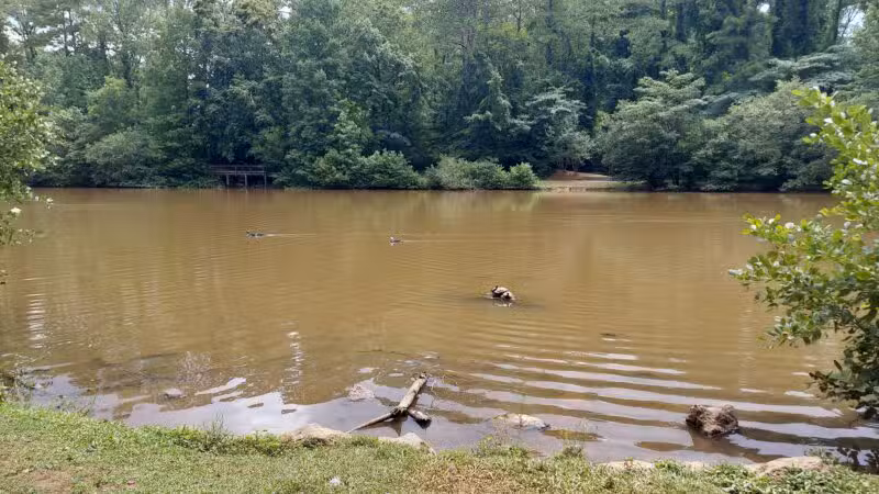 Athens Memorial Dog Park - Athens, GA
