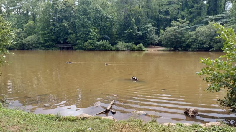 Athens Memorial Dog Park - Athens, GA