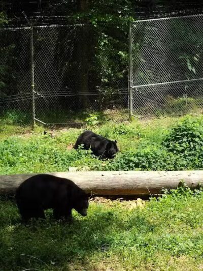 Athens Memorial Dog Park - Athens,