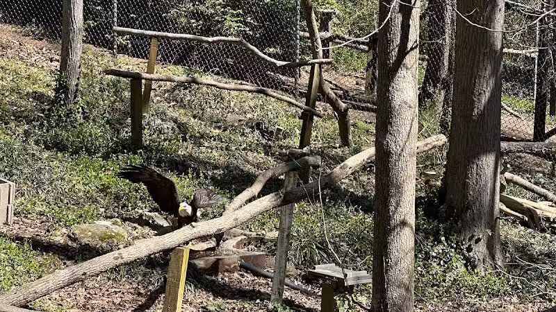Athens Memorial Dog Park - Athens,