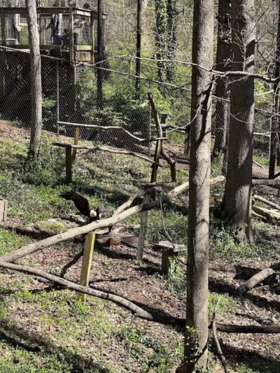 Athens Memorial Dog Park - Athens,