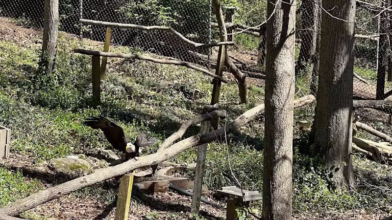 Athens Memorial Dog Park - Athens,