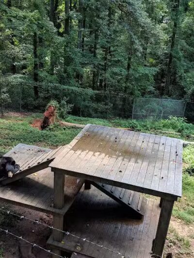 Athens Memorial Dog Park - Athens,