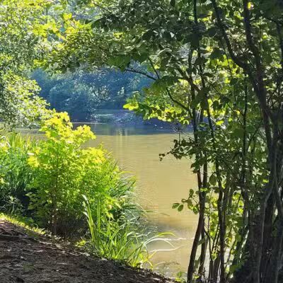 Athens Memorial Dog Park - Athens, GA