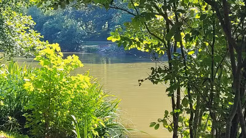 Athens Memorial Dog Park - Athens, GA