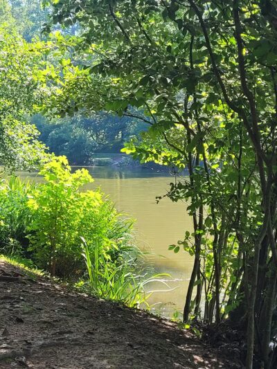 Athens Memorial Dog Park - Athens, GA