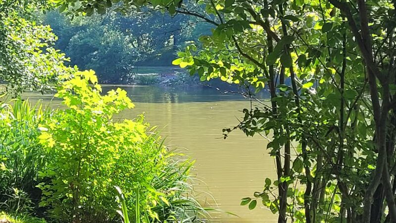 Athens Memorial Dog Park - Athens, GA