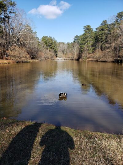 Athens Memorial Dog Park - Athens, GA