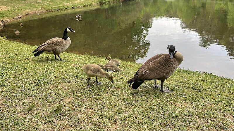 Athens Memorial Dog Park - Athens, GA