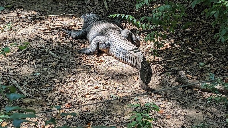 Athens Memorial Dog Park - Athens, GA