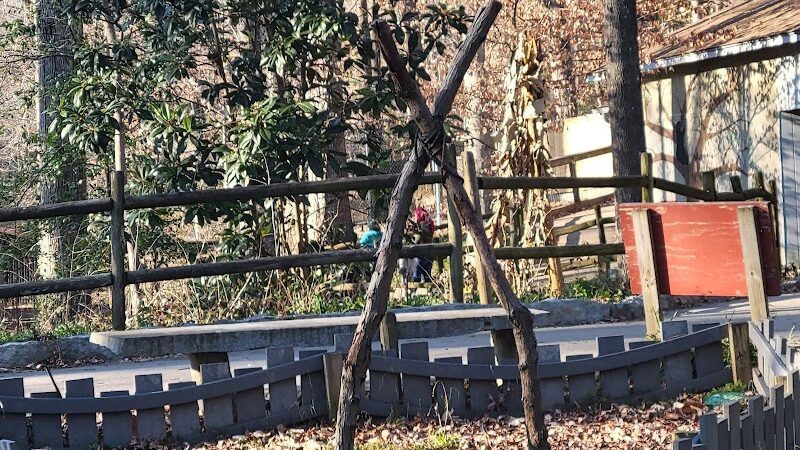 Athens Memorial Dog Park - Athens, GA