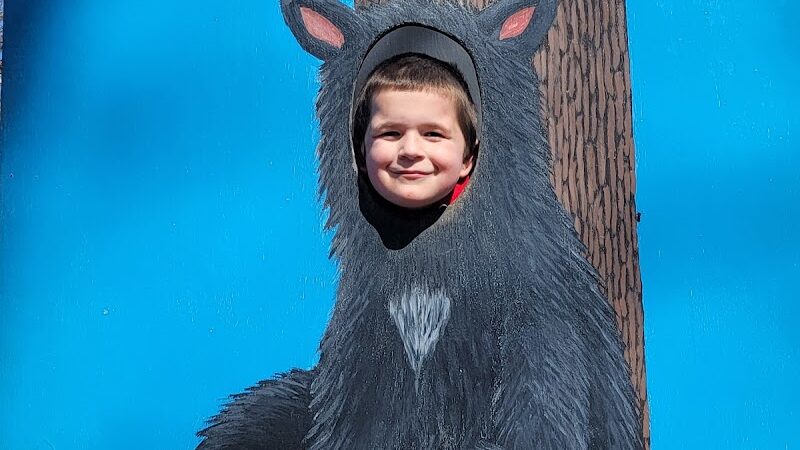 Athens Memorial Dog Park - Athens, GA