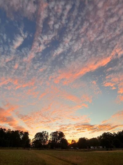 Wiggley Field - Athens, GA