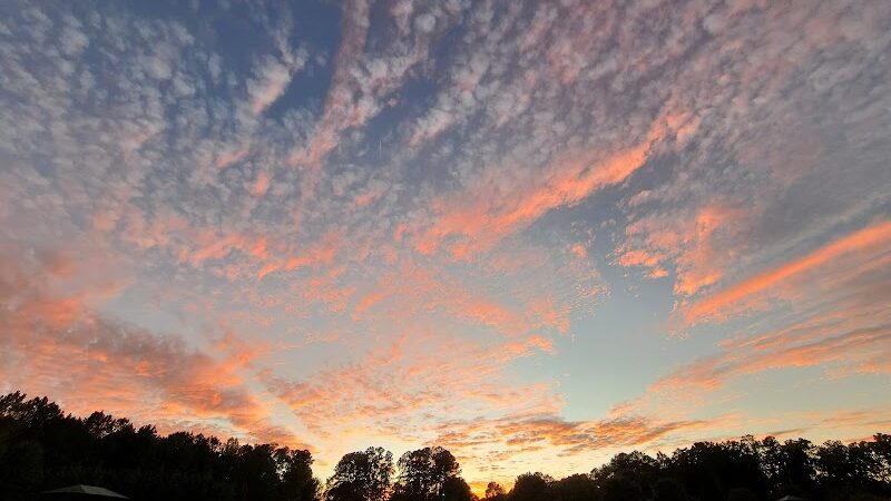 Wiggley Field - Athens, GA