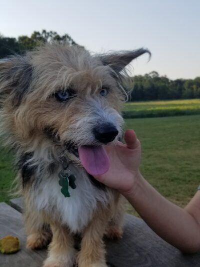 Wiggley Field - Athens, GA