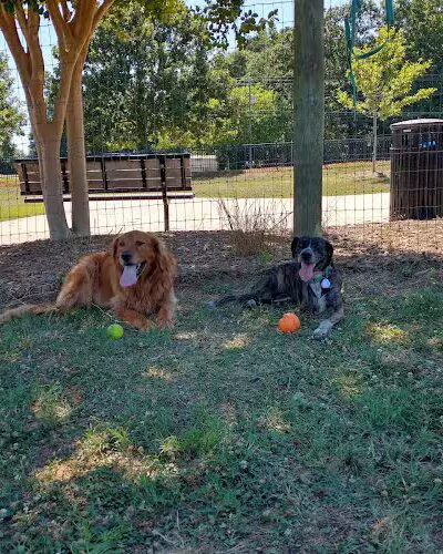 Wiggley Field - Athens, GA