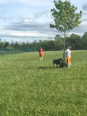 Athens Bunker Hill Dog Park - Athens, NY
