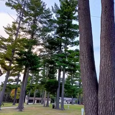 Atlanta Park - Atlanta,