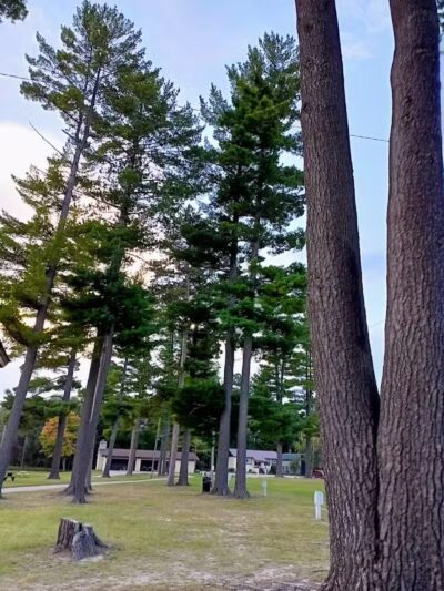 Atlanta Park - Atlanta,