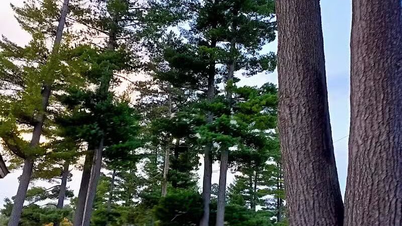 Atlanta Park - Atlanta,