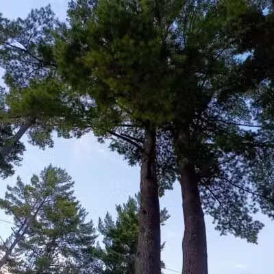 Atlanta Park - Atlanta,