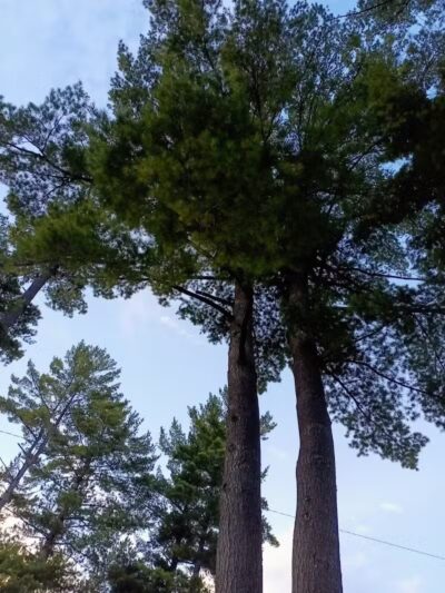 Atlanta Park - Atlanta,