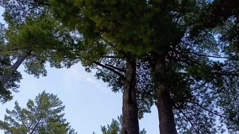 Atlanta Park - Atlanta,