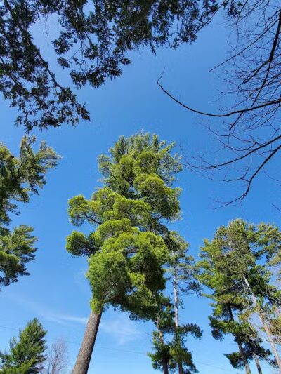 Briley Township Park - Atlanta,