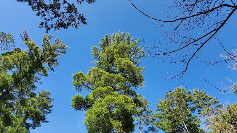 Briley Township Park - Atlanta,