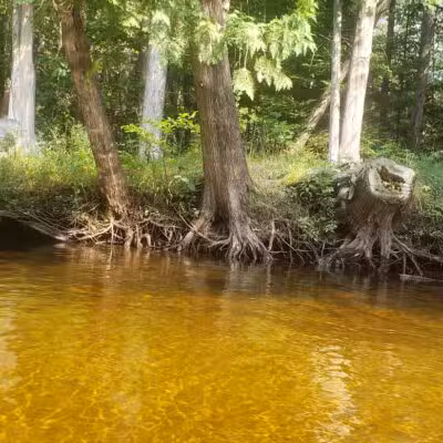 Briley Township Park - Atlanta,
